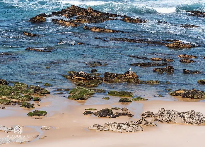 Estrela Do Mar - Center Of